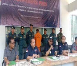 Gakkum KLHK tangkap pemodal perambahan Kawasan TNTN Riau (foto/Bayu)